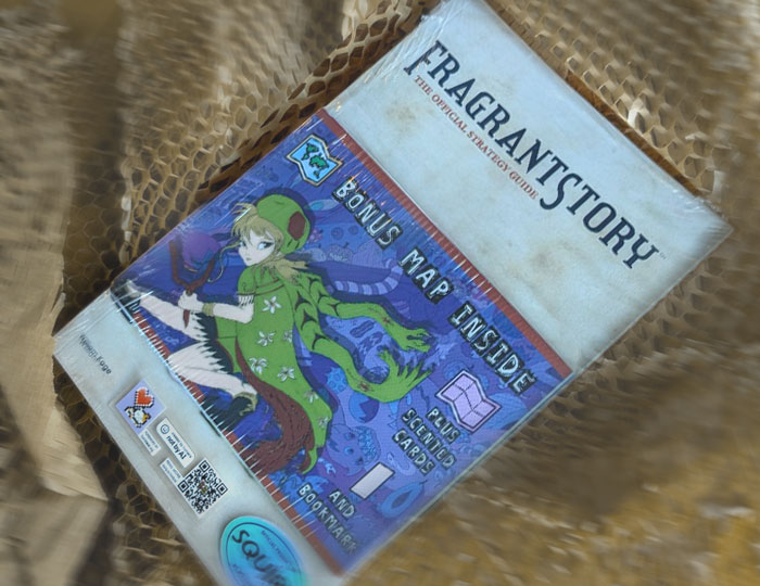 guide6c.jpg
